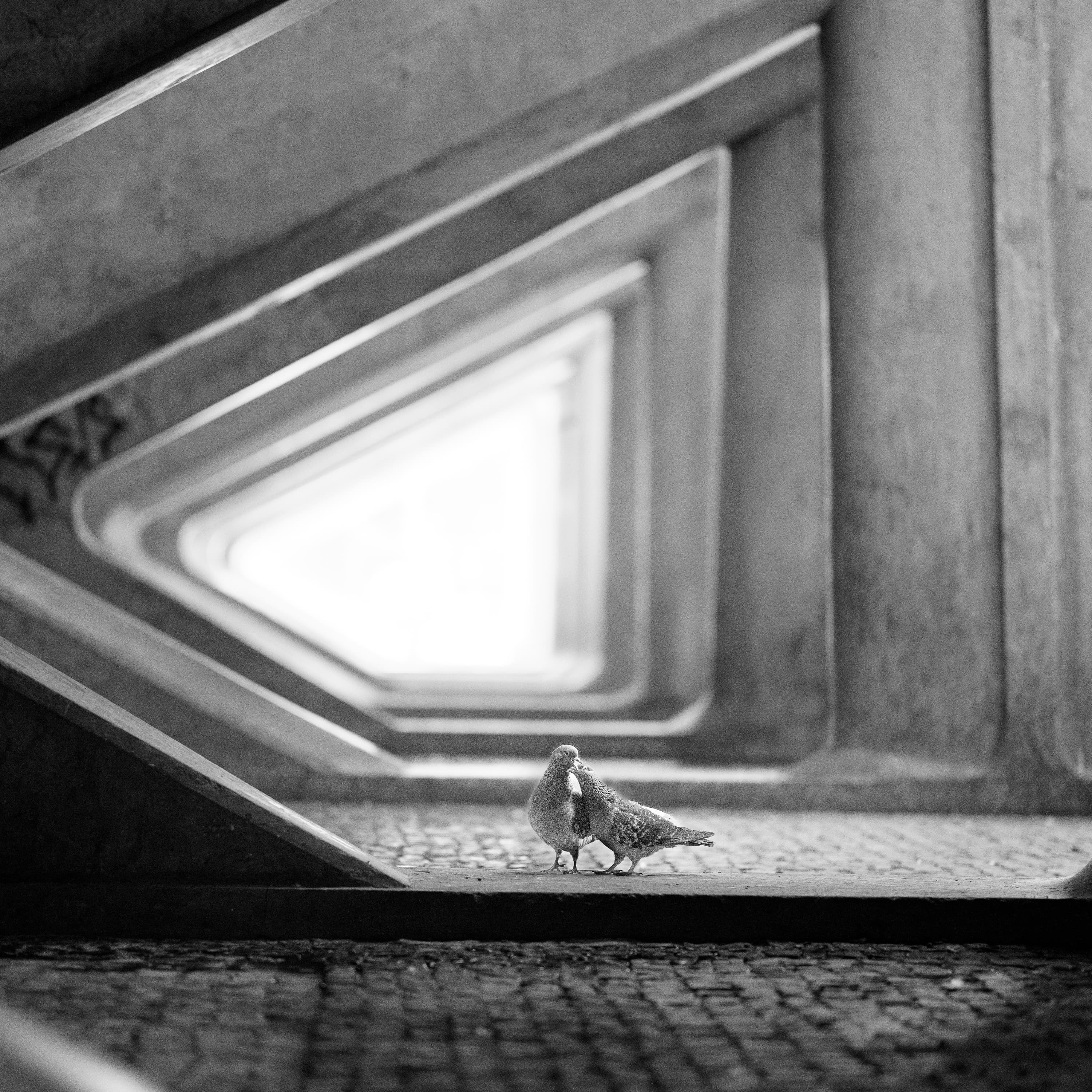 Two pigeons beneath brutalist concrete bridge with triangular perspective, cobblestone — black and white street photography