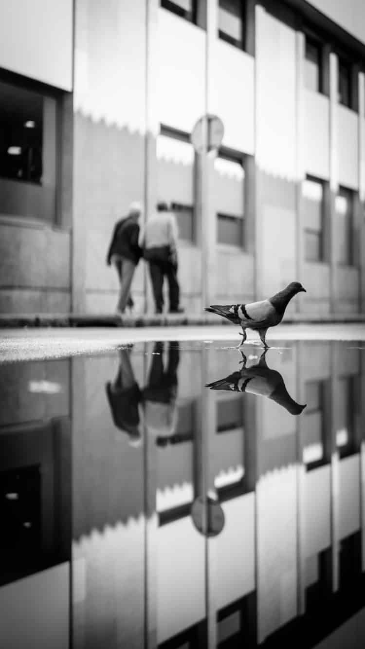 Erster Tag mit dem Sigma 35 f/1.2 Art II - Image 2