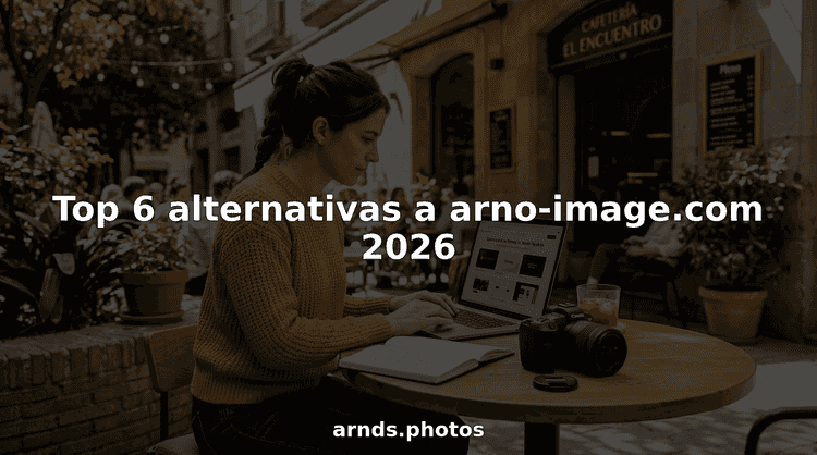 Photographer analyzing and comparing the different online platforms available